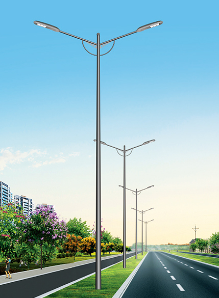 Các thành phần que